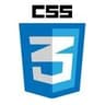 CSS icon